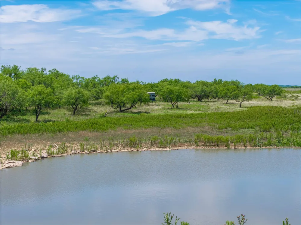 1797 FM 1026 Coleman, TX 76834