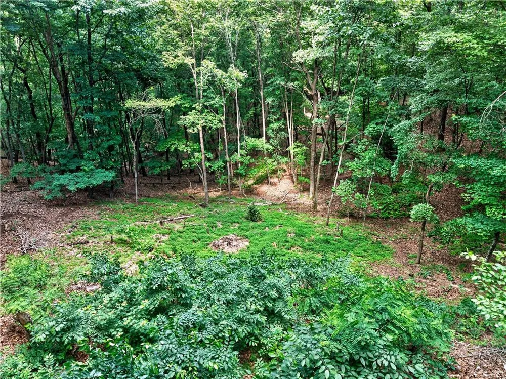 113 Lucerne Place Sautee Nacoochee, GA 30571