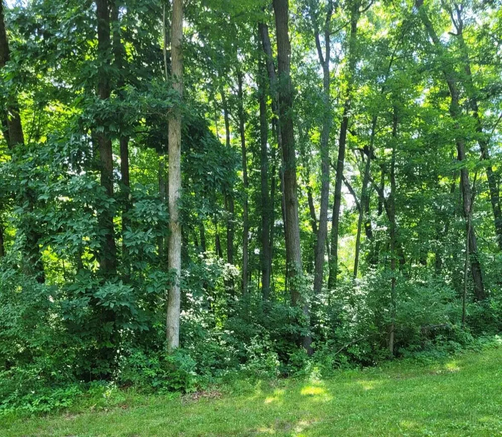 11839 Vicary Road Jerome, MI 49249