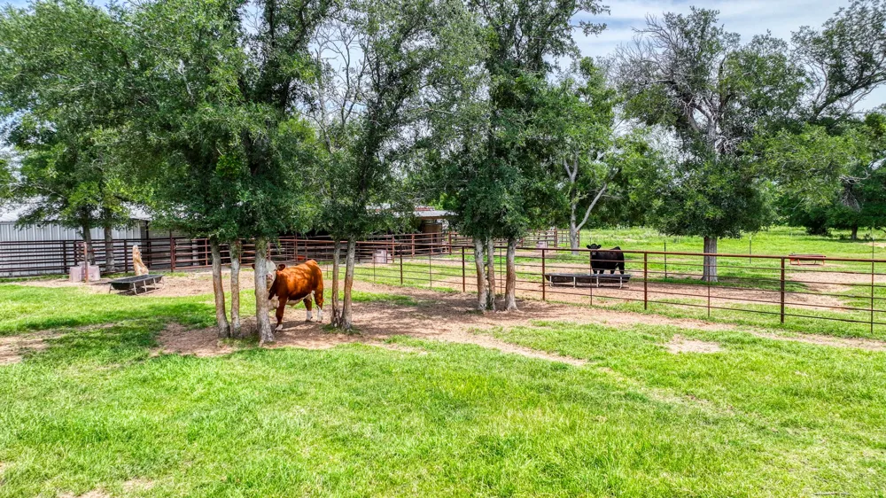 1060 Young Bend Road Brock, TX 76087