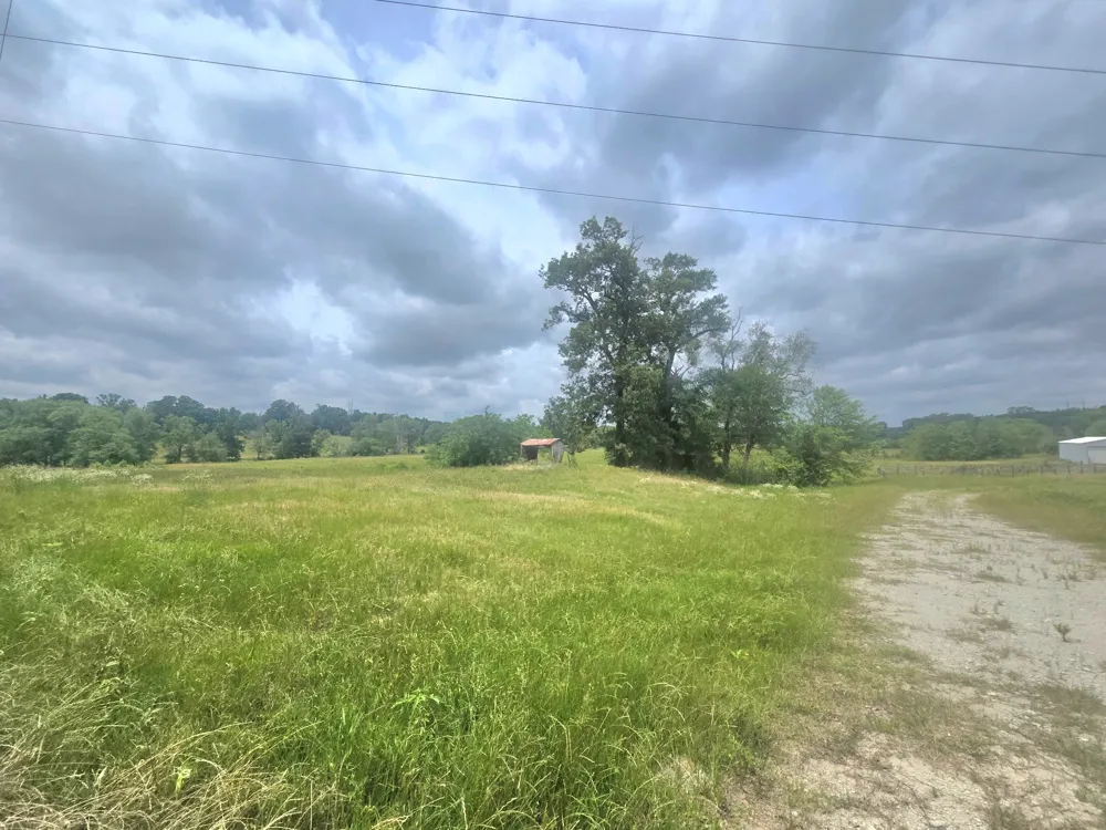County Road 246 Arp, TX 75750