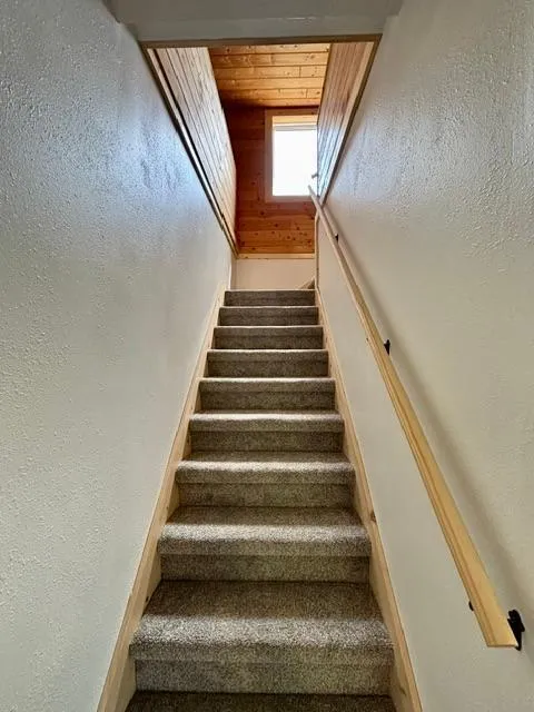 120 Spruce Avenue S Thief River Falls, MN 56701