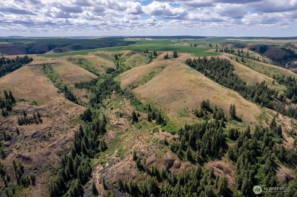 45000 Hanson Harbor Road Wilbur, WA 99185