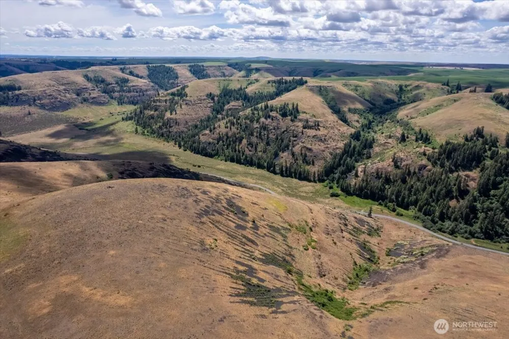 45000 Hanson Harbor Road Wilbur, WA 99185