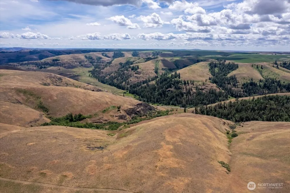 45000 Hanson Harbor Road Wilbur, WA 99185