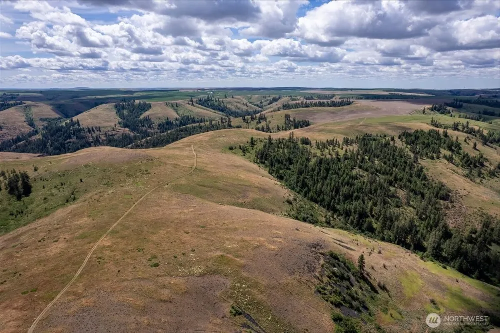 45000 Hanson Harbor Road Wilbur, WA 99185
