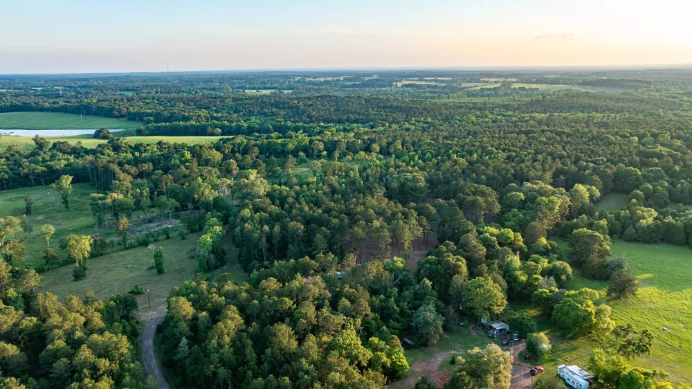 22924 County Road 223 Arp, TX 75750