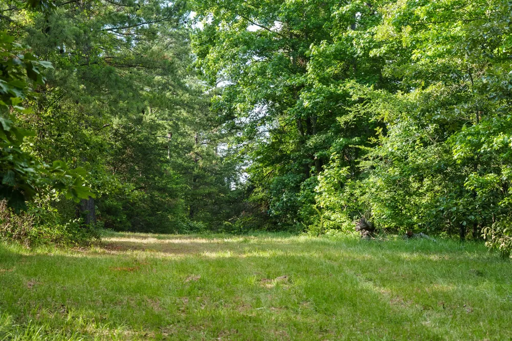 22924 County Road 223 Arp, TX 75750