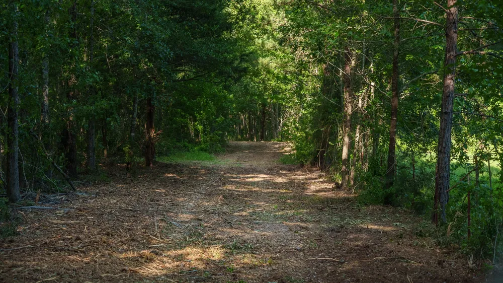 22924 County Road 223 Arp, TX 75750