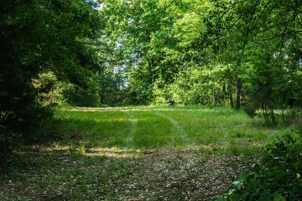 22924 County Road 223 Arp, TX 75750