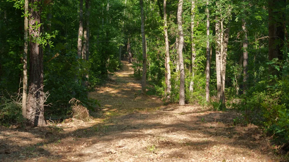 22924 County Road 223 Arp, TX 75750