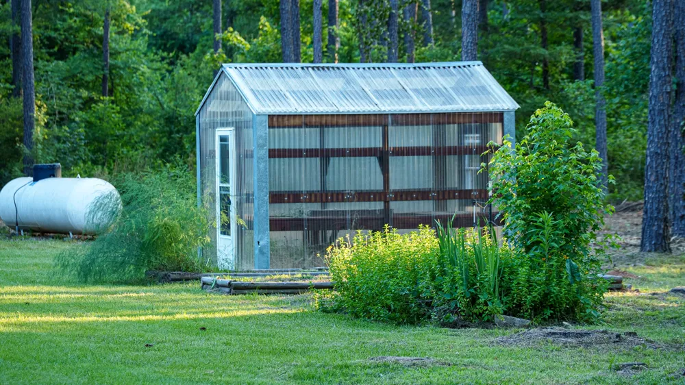 22924 County Road 223 Arp, TX 75750
