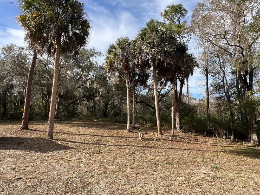 Address Not Shown Crystal River, FL 34428