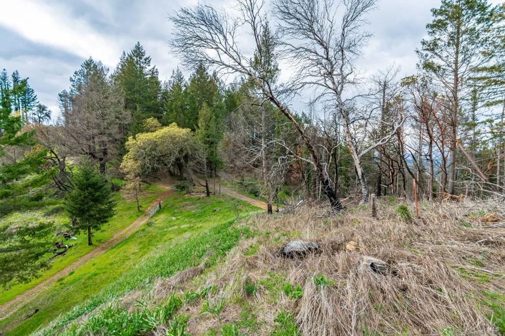1401 Big Ridge Road Healdsburg, CA 95448