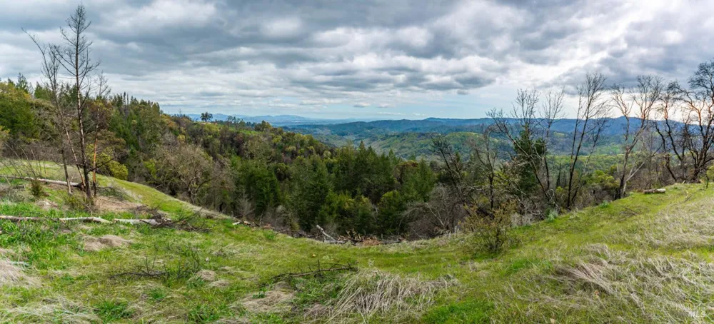 1401 Big Ridge Road Healdsburg, CA 95448