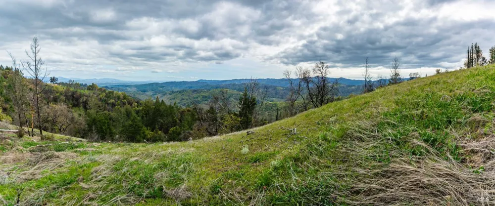 1401 Big Ridge Road Healdsburg, CA 95448