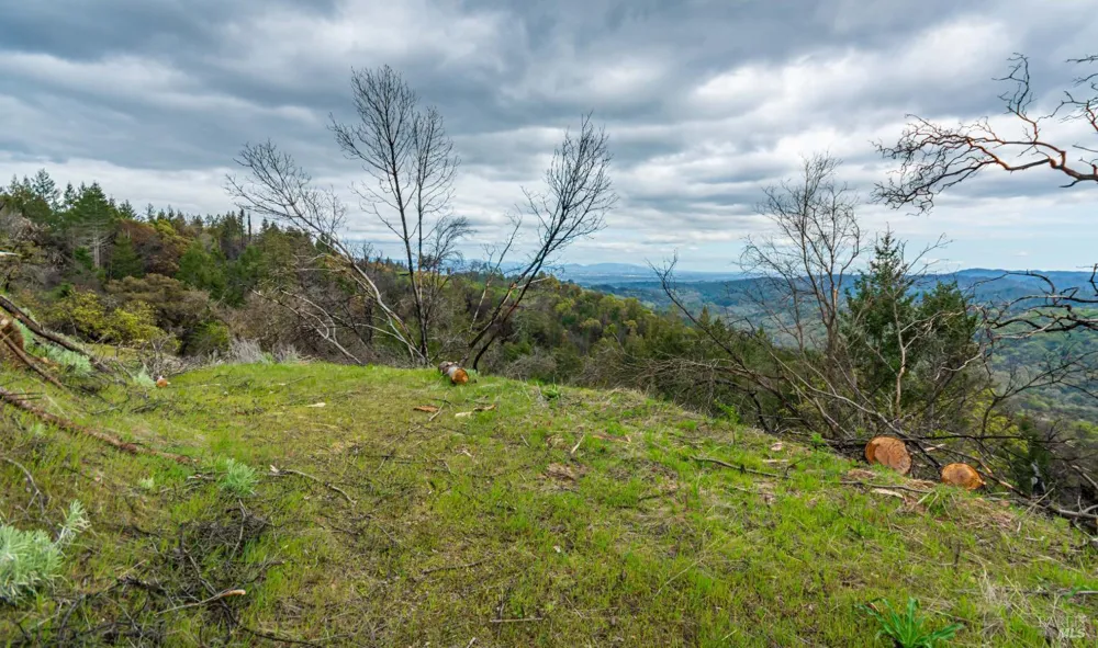 1401 Big Ridge Road Healdsburg, CA 95448