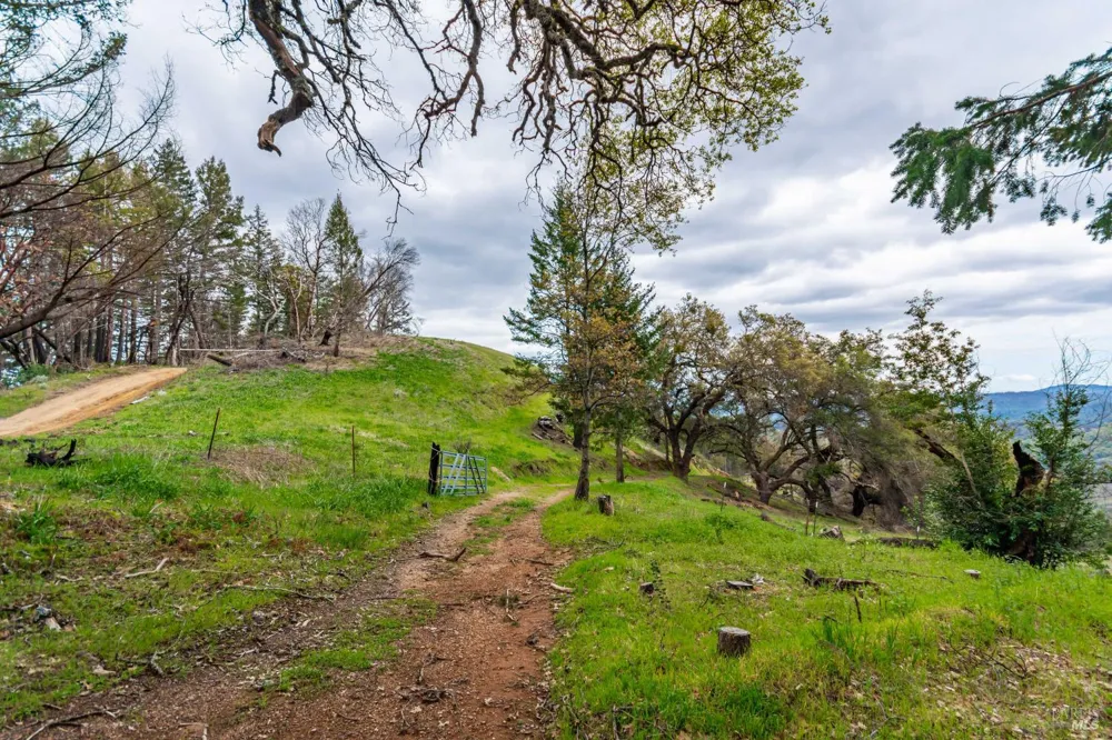 1401 Big Ridge Road Healdsburg, CA 95448