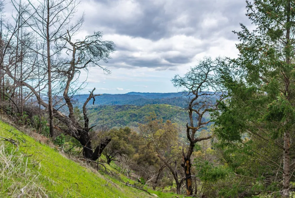 1401 Big Ridge Road Healdsburg, CA 95448