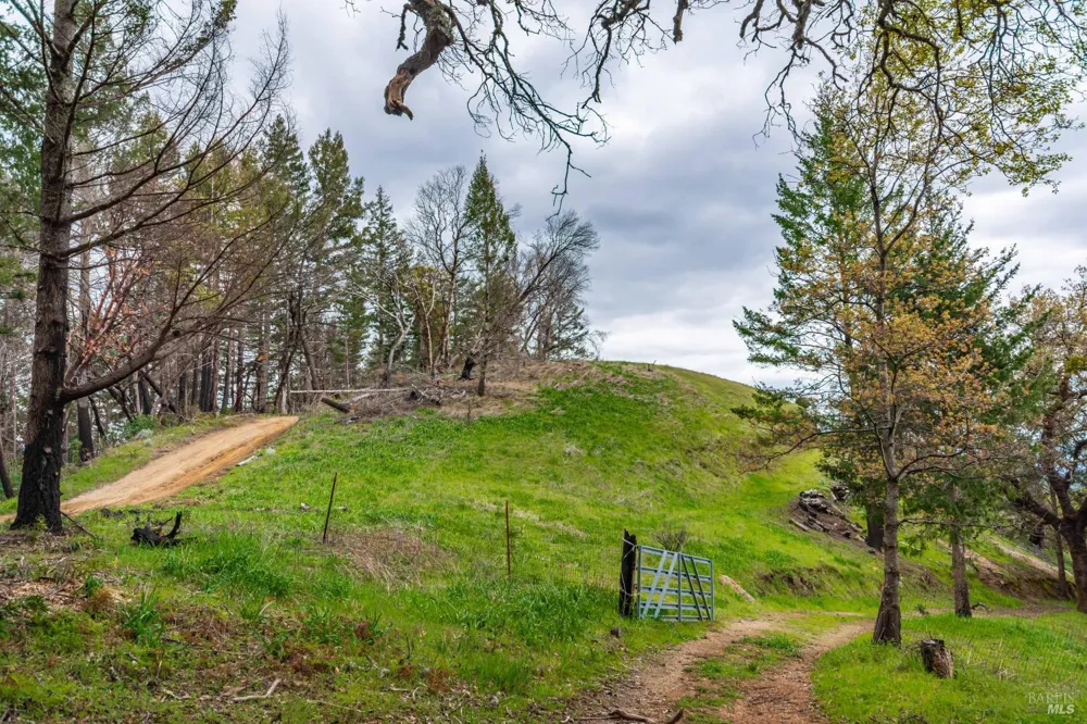 1401 Big Ridge Road Healdsburg, CA 95448
