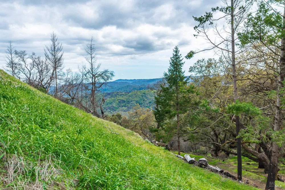 1401 Big Ridge Road Healdsburg, CA 95448