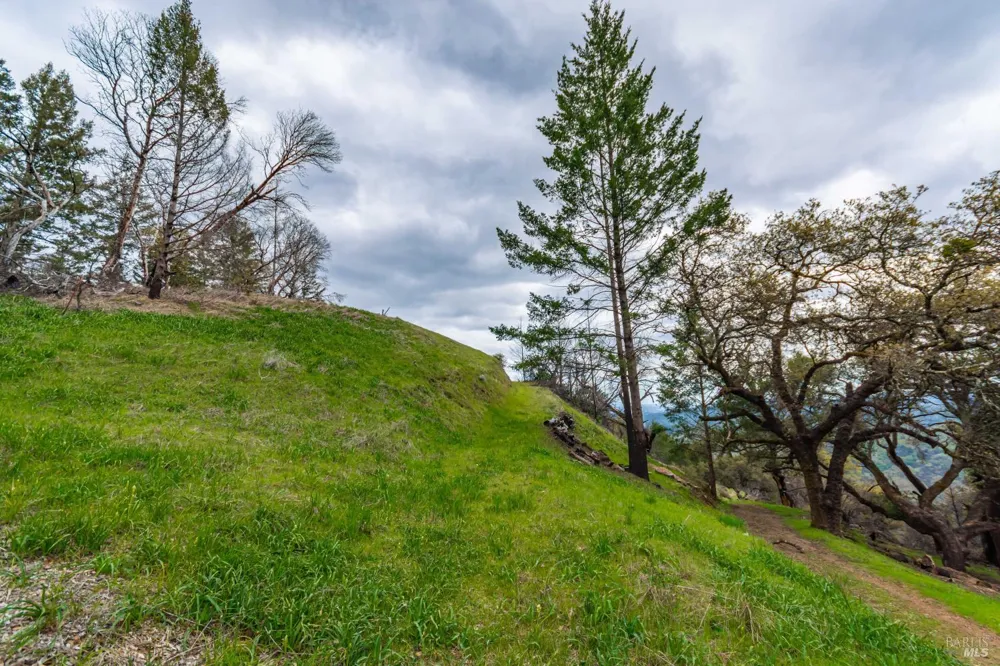1401 Big Ridge Road Healdsburg, CA 95448