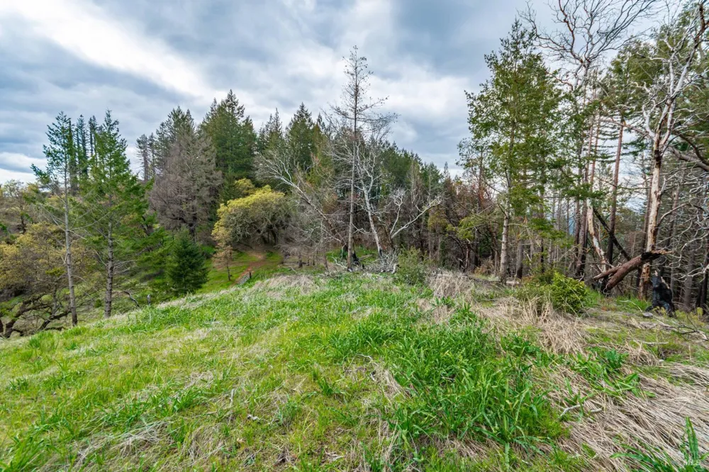 1401 Big Ridge Road Healdsburg, CA 95448