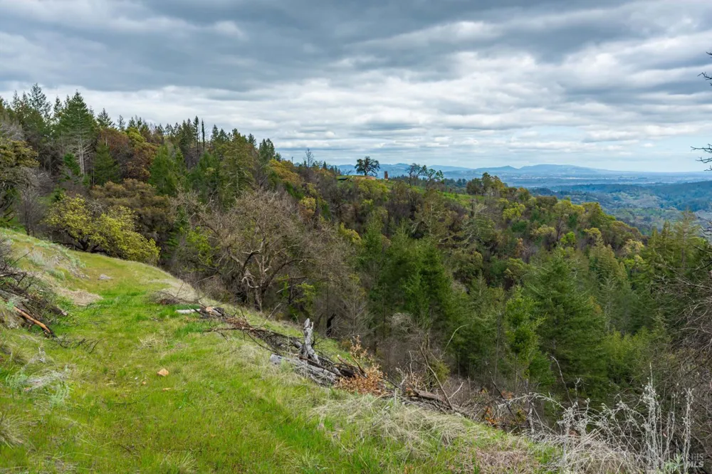 1401 Big Ridge Road Healdsburg, CA 95448