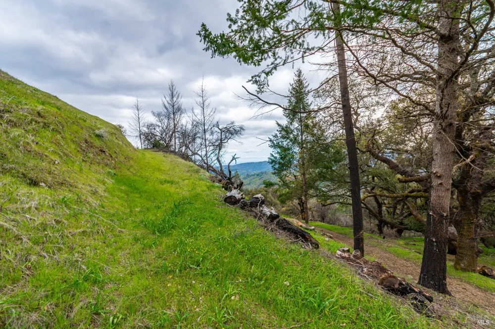 1401 Big Ridge Road Healdsburg, CA 95448