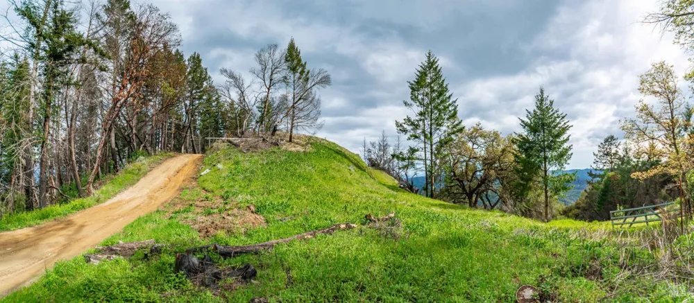 1401 Big Ridge Road Healdsburg, CA 95448
