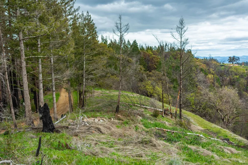 1401 Big Ridge Road Healdsburg, CA 95448
