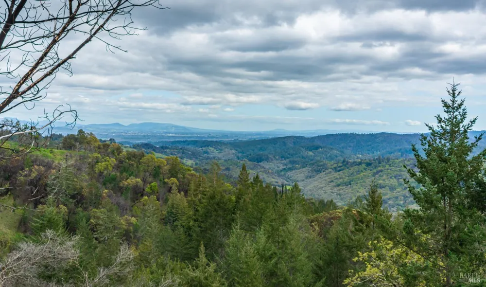 1401 Big Ridge Road Healdsburg, CA 95448