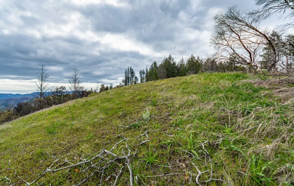 1401 Big Ridge Road Healdsburg, CA 95448