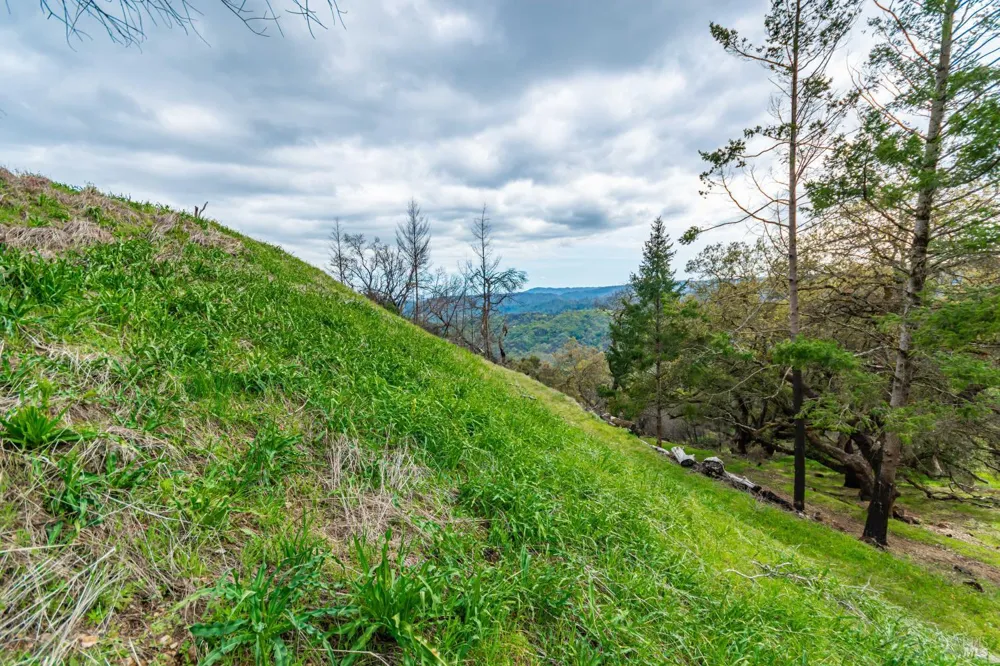 1401 Big Ridge Road Healdsburg, CA 95448