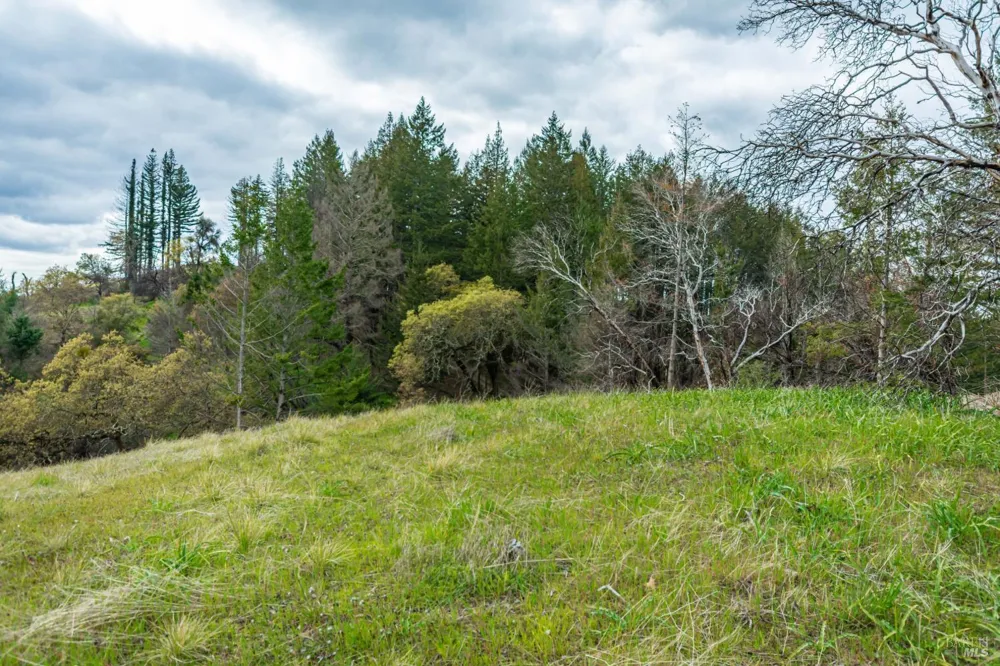 1401 Big Ridge Road Healdsburg, CA 95448