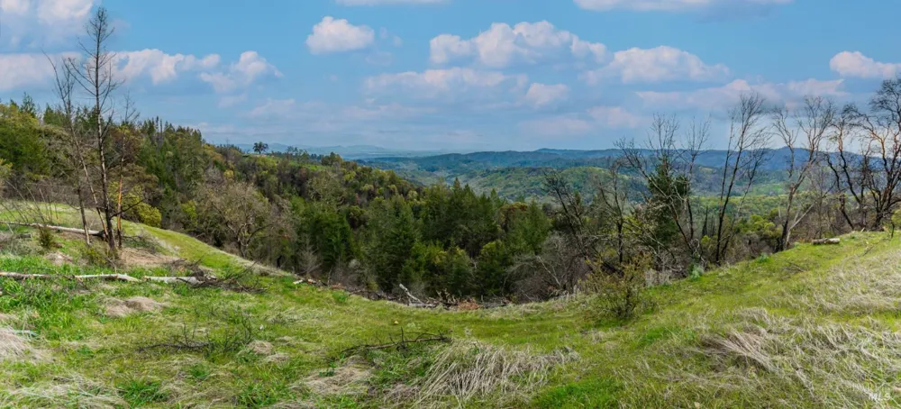 1401 Big Ridge Road Healdsburg, CA 95448