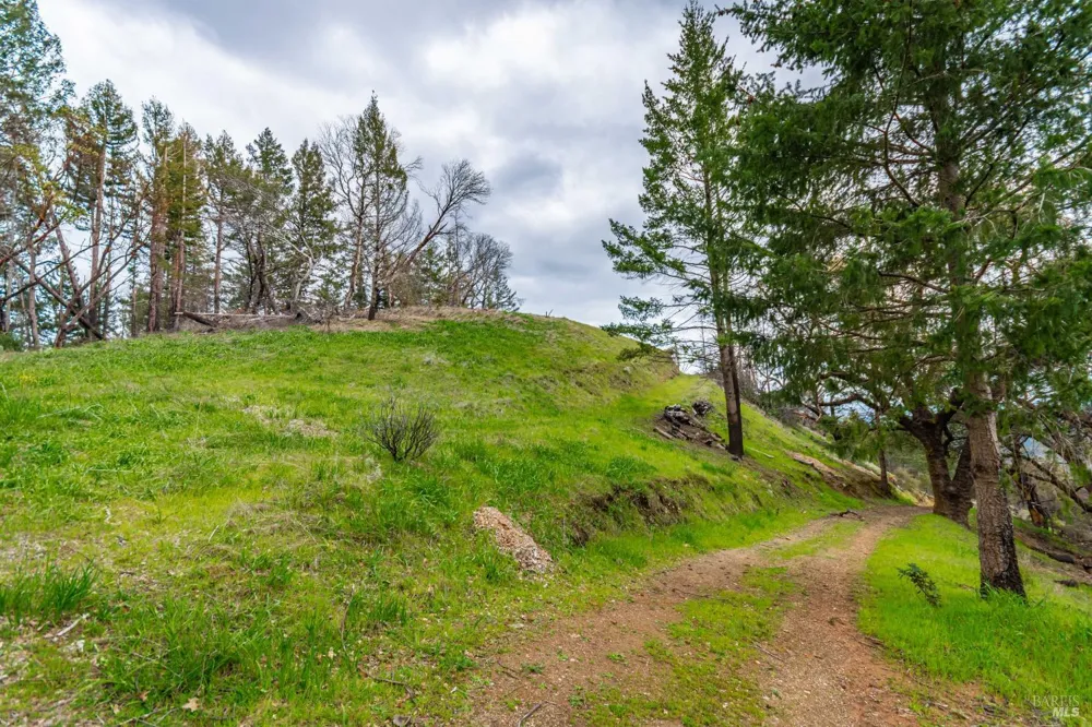 1401 Big Ridge Road Healdsburg, CA 95448