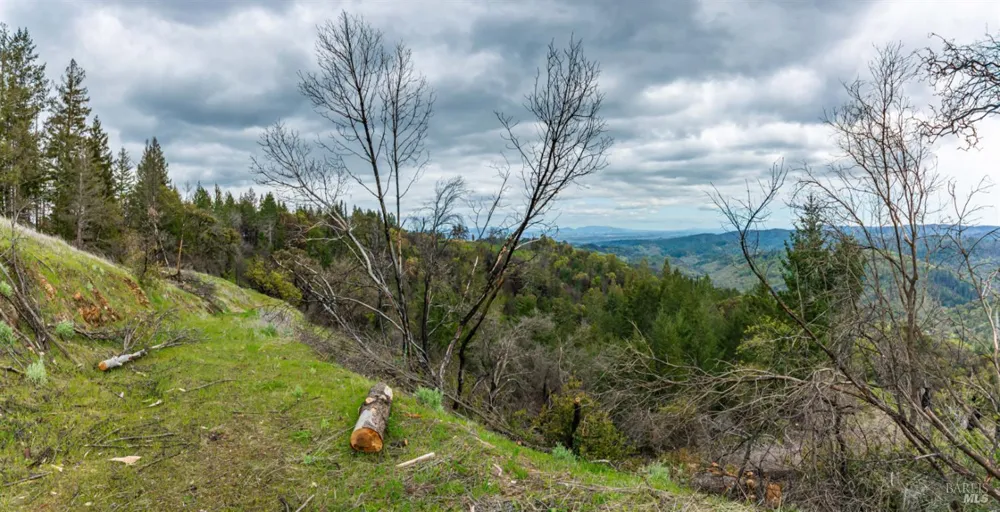 1401 Big Ridge Road Healdsburg, CA 95448
