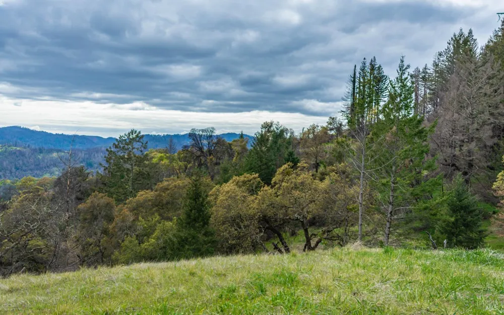 1401 Big Ridge Road Healdsburg, CA 95448