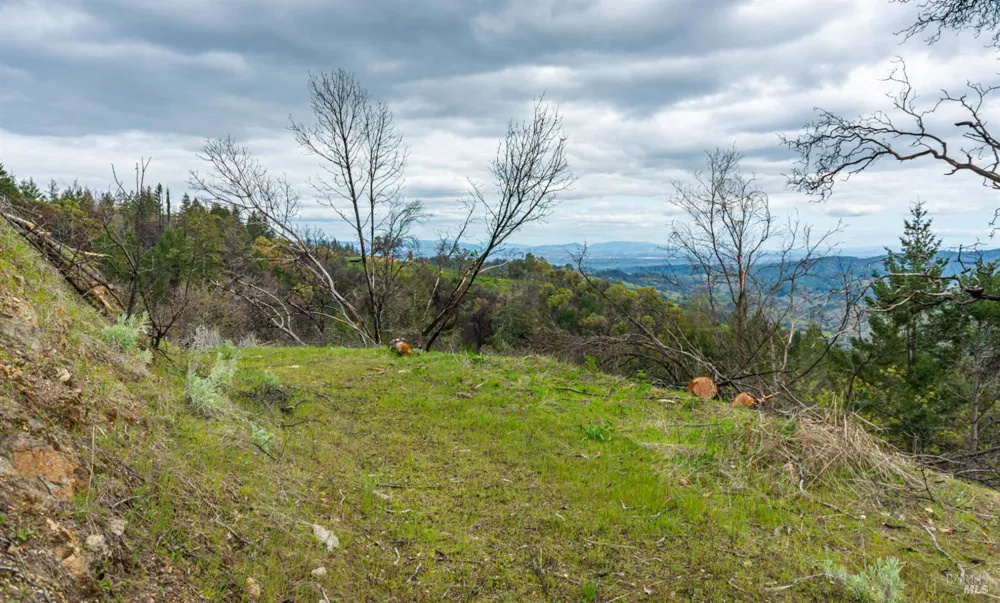1401 Big Ridge Road Healdsburg, CA 95448