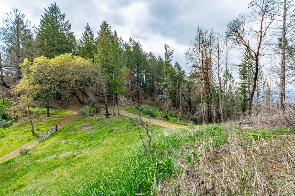 1401 Big Ridge Road Healdsburg, CA 95448