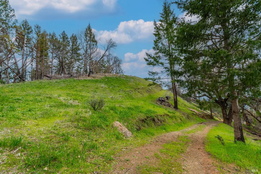 1401 Big Ridge Road Healdsburg, CA 95448