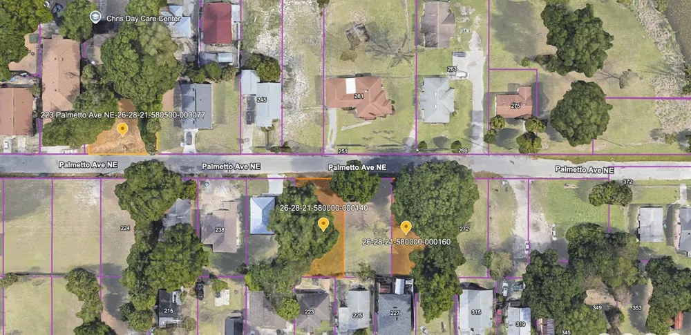 223 PALMETTO AVENUE NE Winter Haven, FL 33881