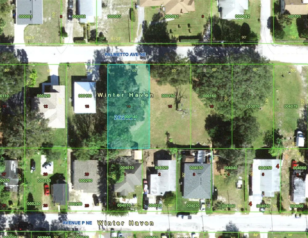 223 PALMETTO AVENUE NE Winter Haven, FL 33881