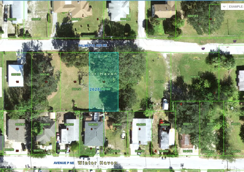 PALMETTO AVENUE NE Winter Haven, FL 33881