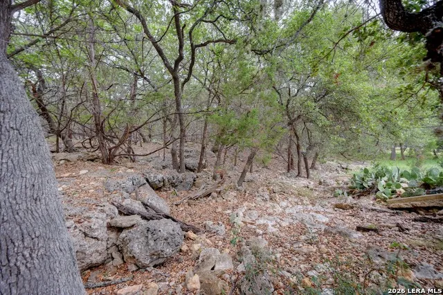 LOT 39 Moss Rose Bandera, TX 78003