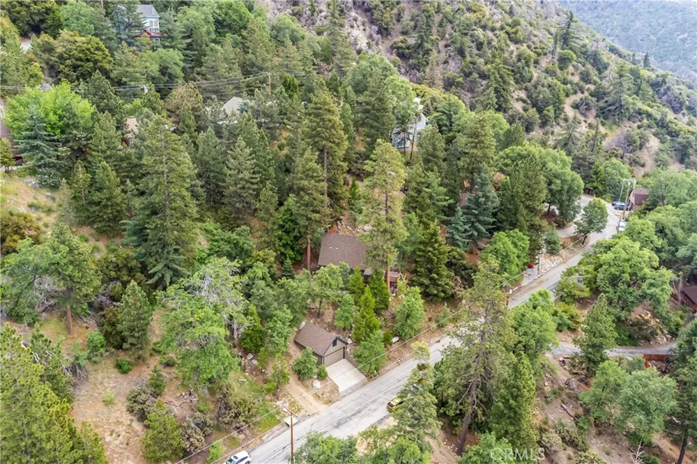 6429 Cedar Avenue Angelus Oaks, CA 92305