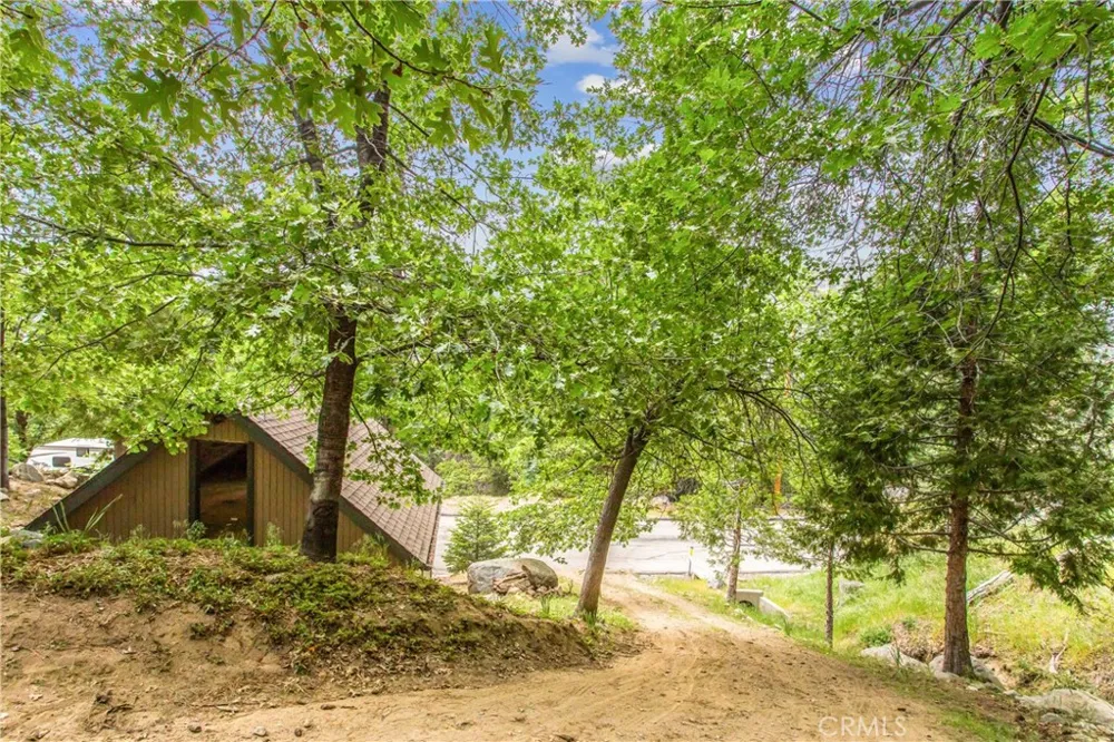 6429 Cedar Avenue Angelus Oaks, CA 92305