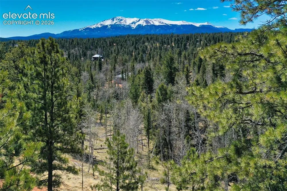 5542 North Road Divide, CO 80814
