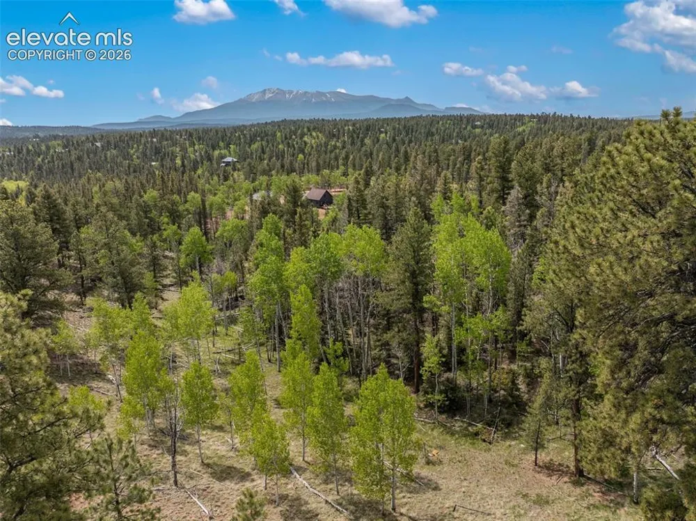 5542 North Road Divide, CO 80814